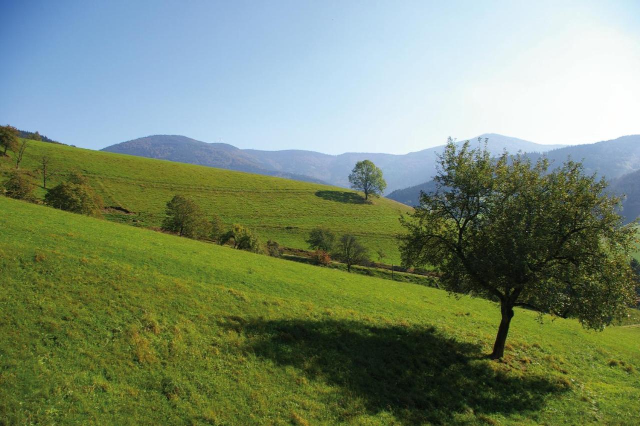 Zeitraum Ferienwohnung Tafelbuehl Elzach Bagian luar foto